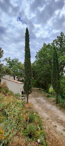 Maison Dans Un �crin De Ch�nes Proven�ale
