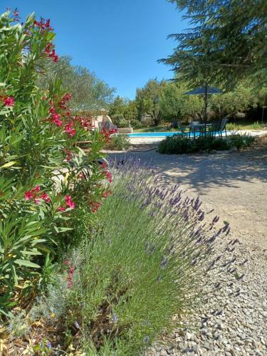 Apartamento Le Gite Du Kalarino