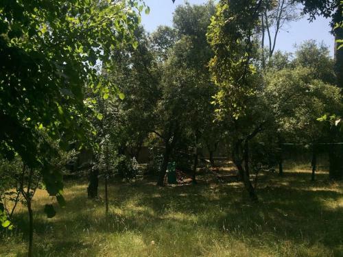 Maison D'architecte � 5 Km Du Pic Saint Loup.