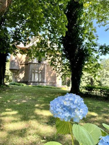 Villa Le Camign�, Ch�teau, Vue Pyr�n�es