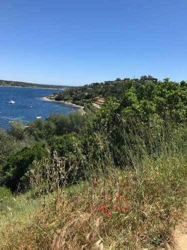 Fischerhaus In Saint Tropez