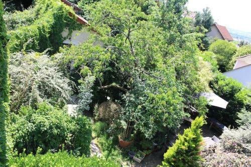 Apartamento Cocoon In A Green Setting, Private Garden