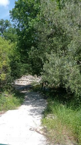 G�te � L'ombre De L'olivier