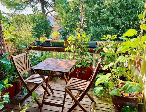 Apartamento Hossegor - Appartement Avec Terrasse