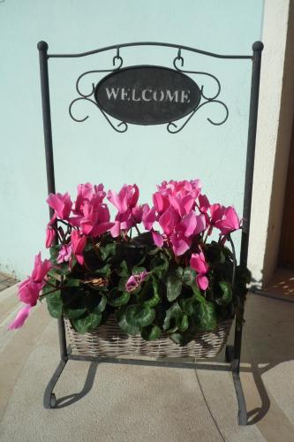 Hostal Piccolo Fiore