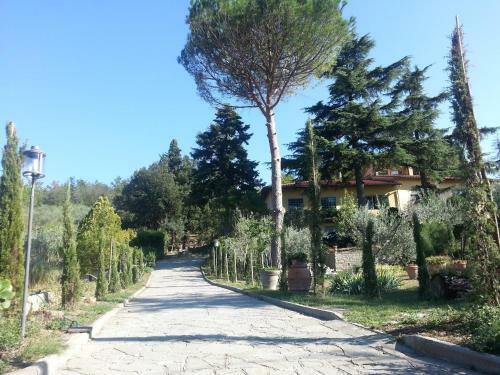 Bed & Breakfast Ulivi Di Castello