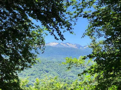 Fen�tre Sur Les Pyr�n�es