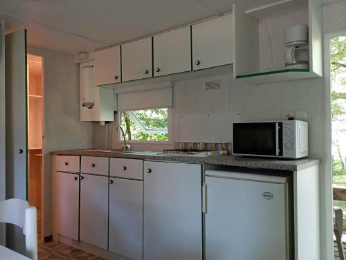 Mobile Home 2