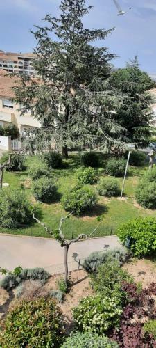 Apartamento Charmant Studio S�te Cosy Refait � Neuf Parking Plage � Pied