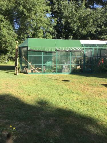 Cabane Au Fond Du Jardin