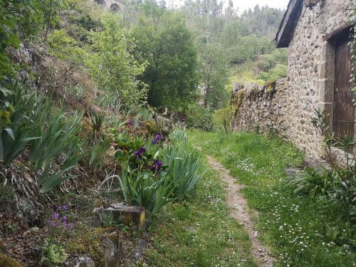 Hostal Chambres Auberge De Thorrenc