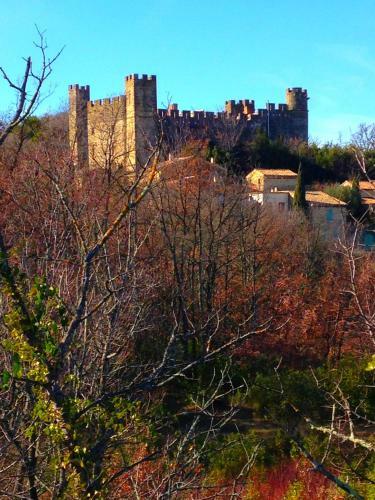 Chateau De Castelnau Valence