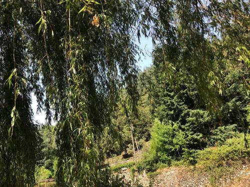 Bed & Breakfast Le Moulin De Bouzigue