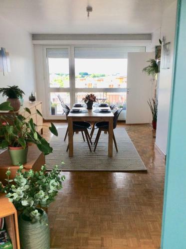 Apartamento Le Balcon De Dentelli�res