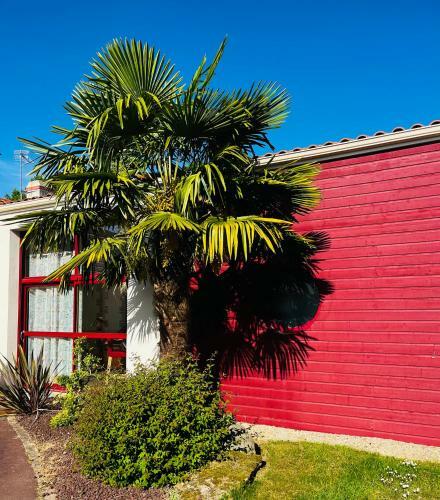 Apartamento Ambiance Tropicale