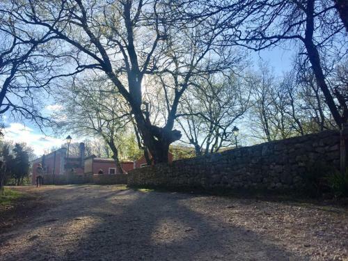 Bed & Breakfast Casa Natura Gargano