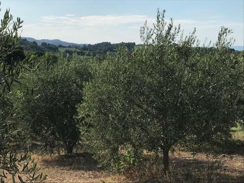 Gite Au Coeur Du Pays Cathare