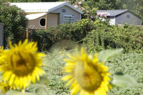 Camping Les Jardins D'elsa