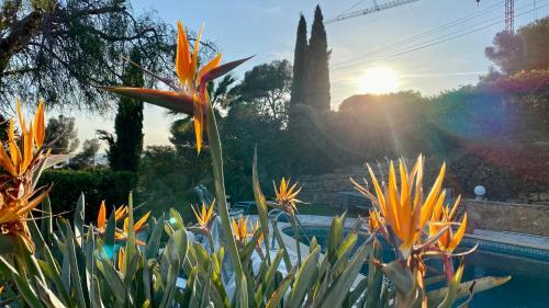 La Villa Olive
