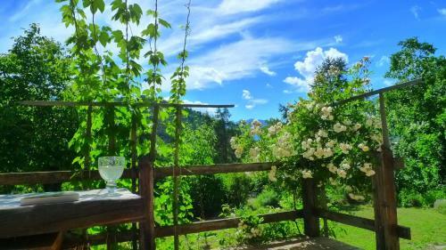 Apartamento Le Bois Des Cerfs