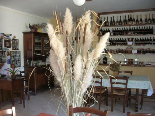 Agroturismo Agriturismo La Selva