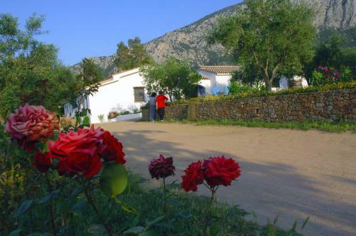 Agroturismo Agriturismo Guthiddai