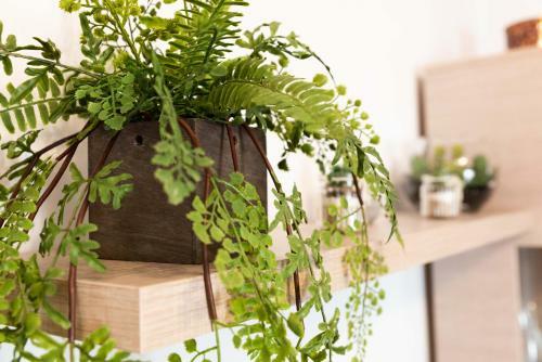 Apartamento Las Virtudes