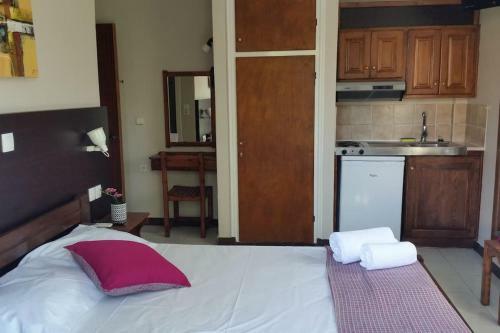 Hotel Nefeli Studios Nydri Main Road