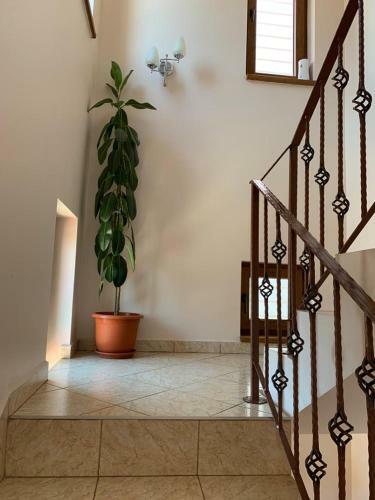 Hostal Vila Corina