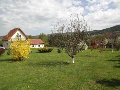 Apartament Fenowe Wzg�rze