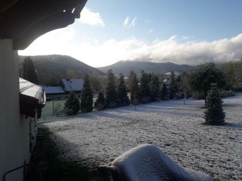 Apartament Fenowe Wzg�rze