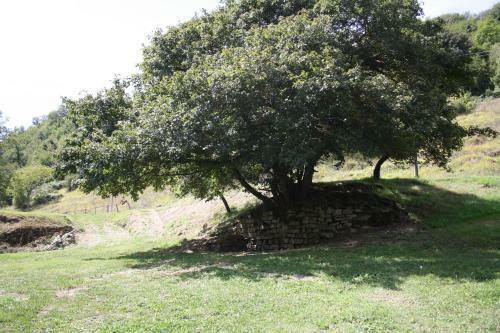Bed & Breakfast Locanda Di Alberi