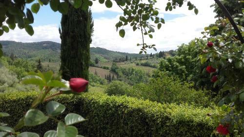 Bed & Breakfast La Luna