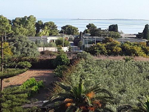 Casa Vacanze Il Castello