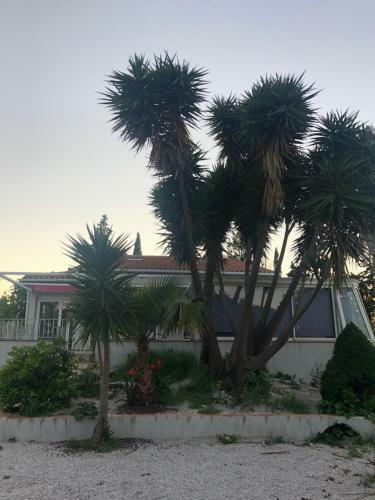 Villa Piscine Elne Plage Argeles Sur Mer