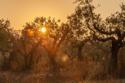 Relais Masseria Casiello