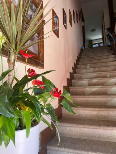 Bed And Breakfast Stella Alpina