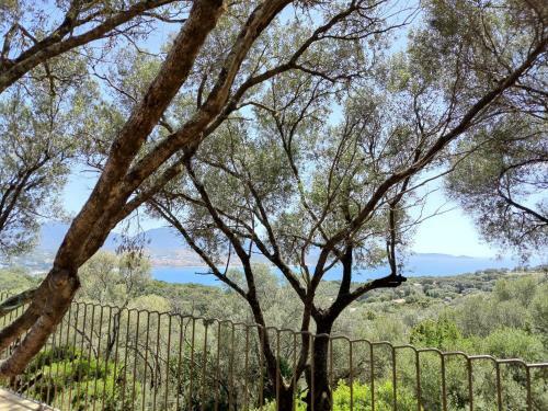 Apartamento R�sidence Licciola