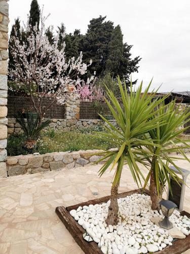 Domaine La Via Regia : Les Maisons
