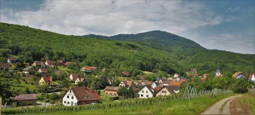Domaine Bohn Green Winehouse