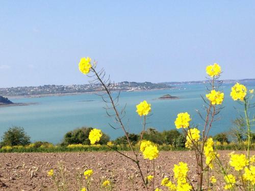 �colog�te