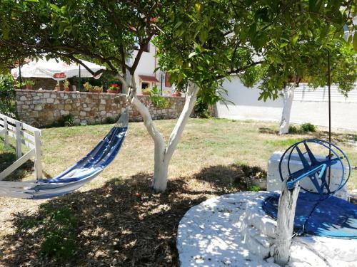 Bed & Breakfast Manavita