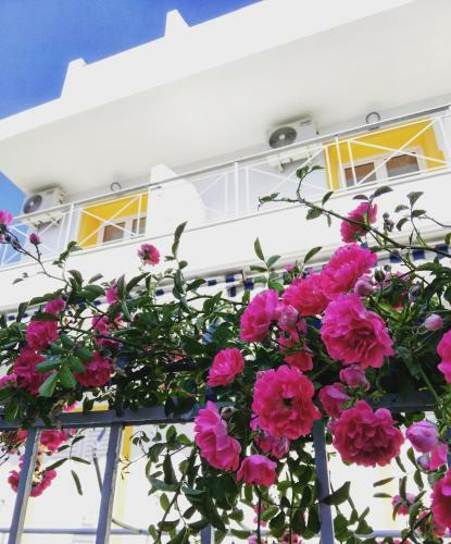 Bed & Breakfast Manavita