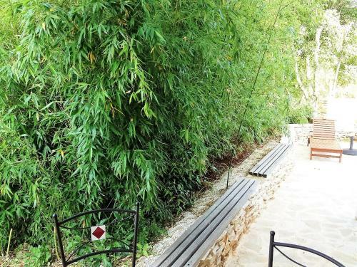 Apartamentos Casa Bamboo