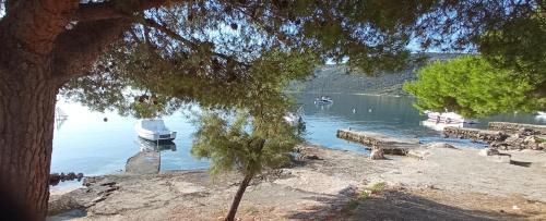 Apartman Nede