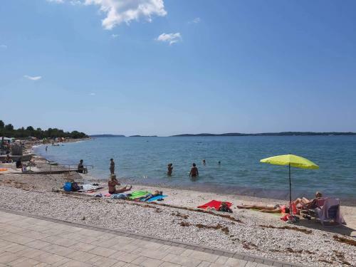 Apartman Deni