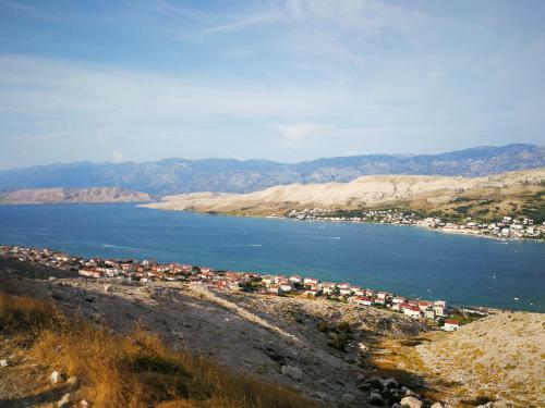 Apartments Davor