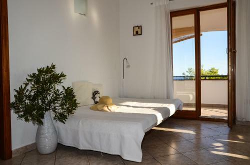 Apartmani Ana