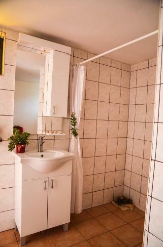 Apartmani Ana