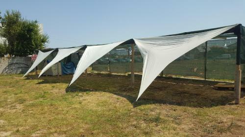 Camping Robinson Vama Veche
